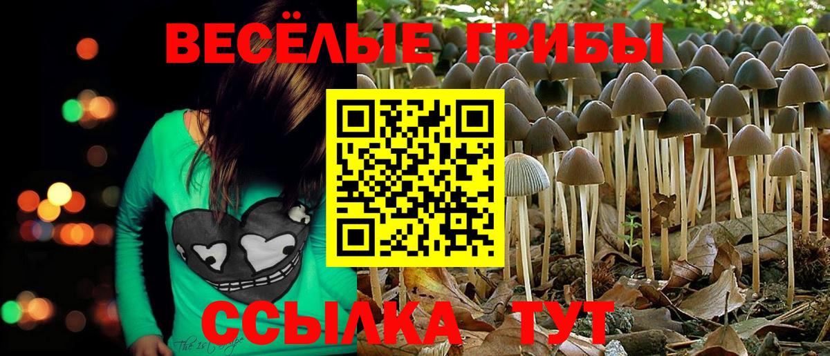 Псилоцибиновые грибы Magic Shrooms Новоалтайск