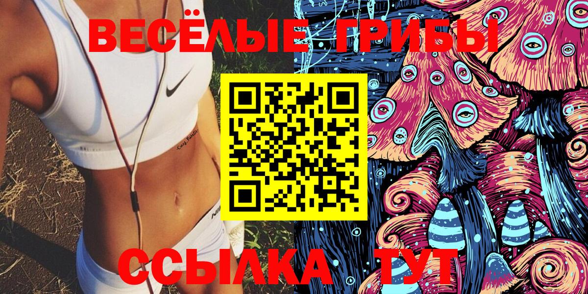 Новоалтайск  Галлюциногенные грибы ЛСД  Галлюциногенные грибы Cubensis  Вход с VPN 